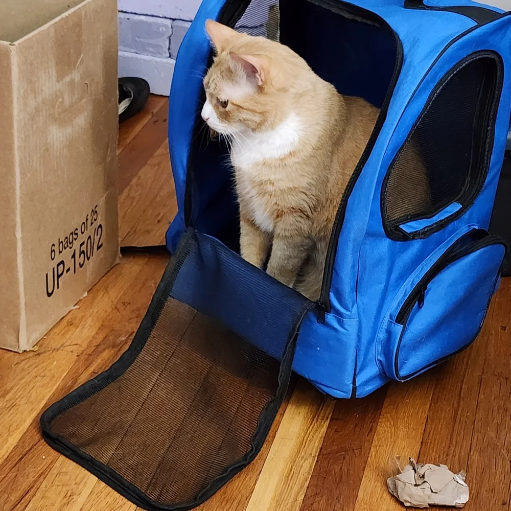 Pet Carrier